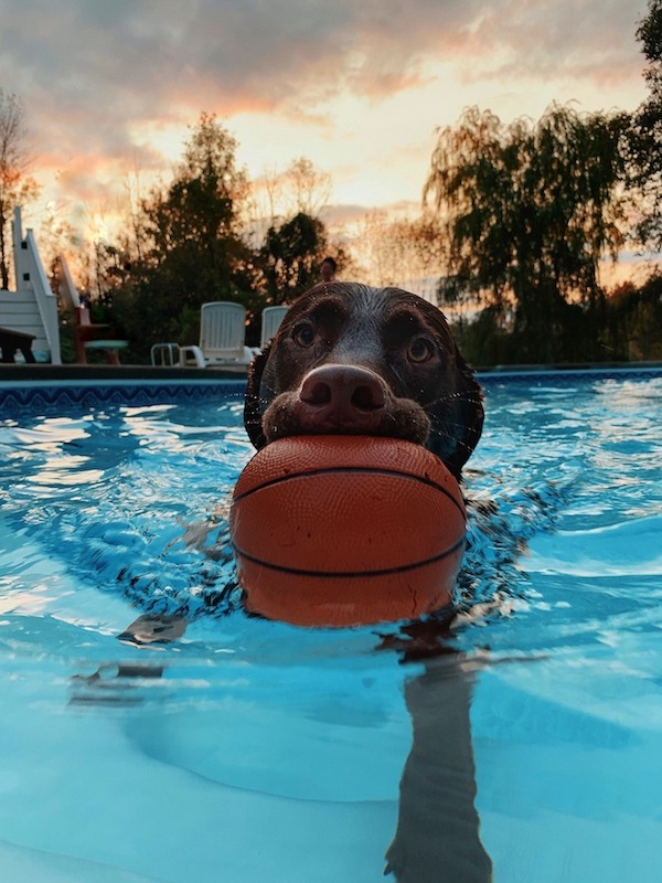 Affordable Pools Encinitas